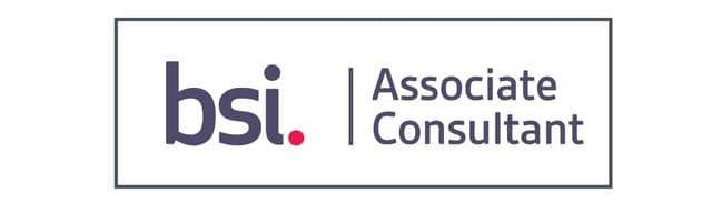 BSI British Standards associate partner logo